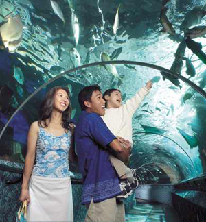 Singapore Packages with Cruise